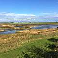 Tidepolder auf der Luneplate © Vera Konermann