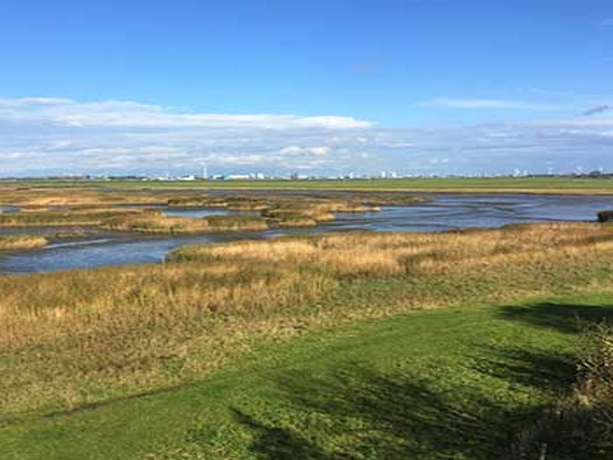 Tidepolder auf der Luneplate © Vera Konermann