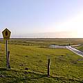 Husum Dockkoog © Hans-Ulrich Rösner / WWF