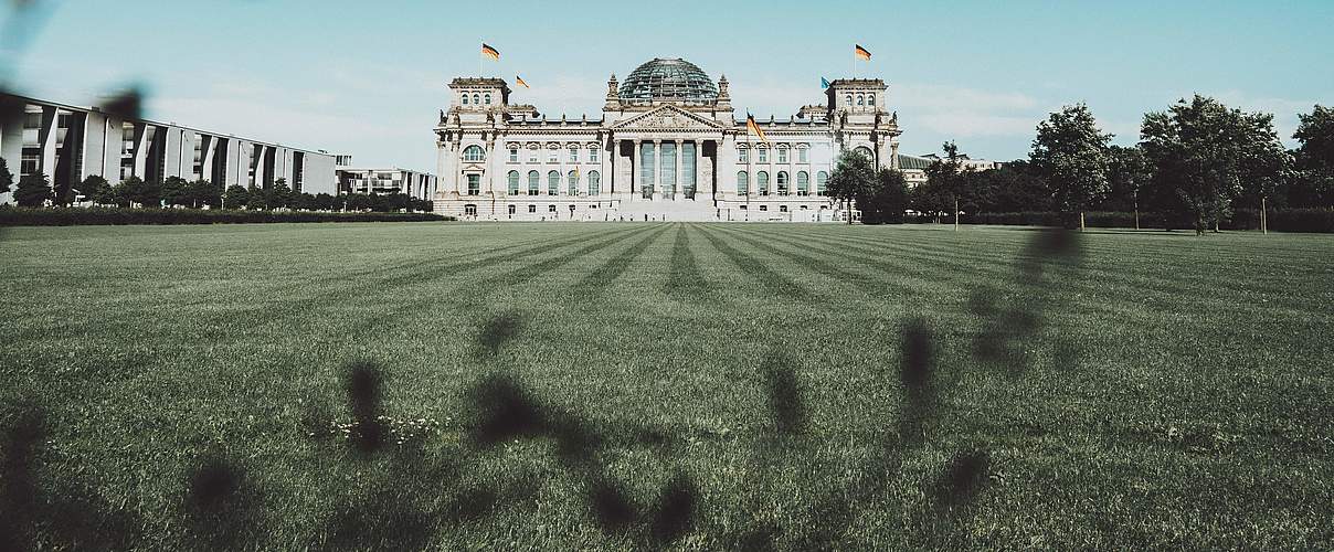Bundestag © Tim Hufner / Unsplash / WWF