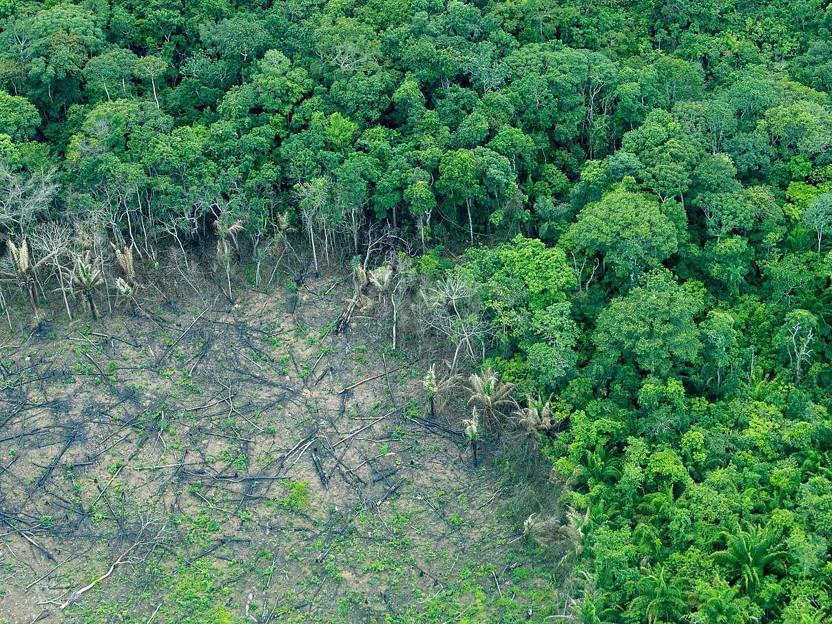 Entwaldung durch Feuer in Bolivien © Jaime Rojo / WWF USA