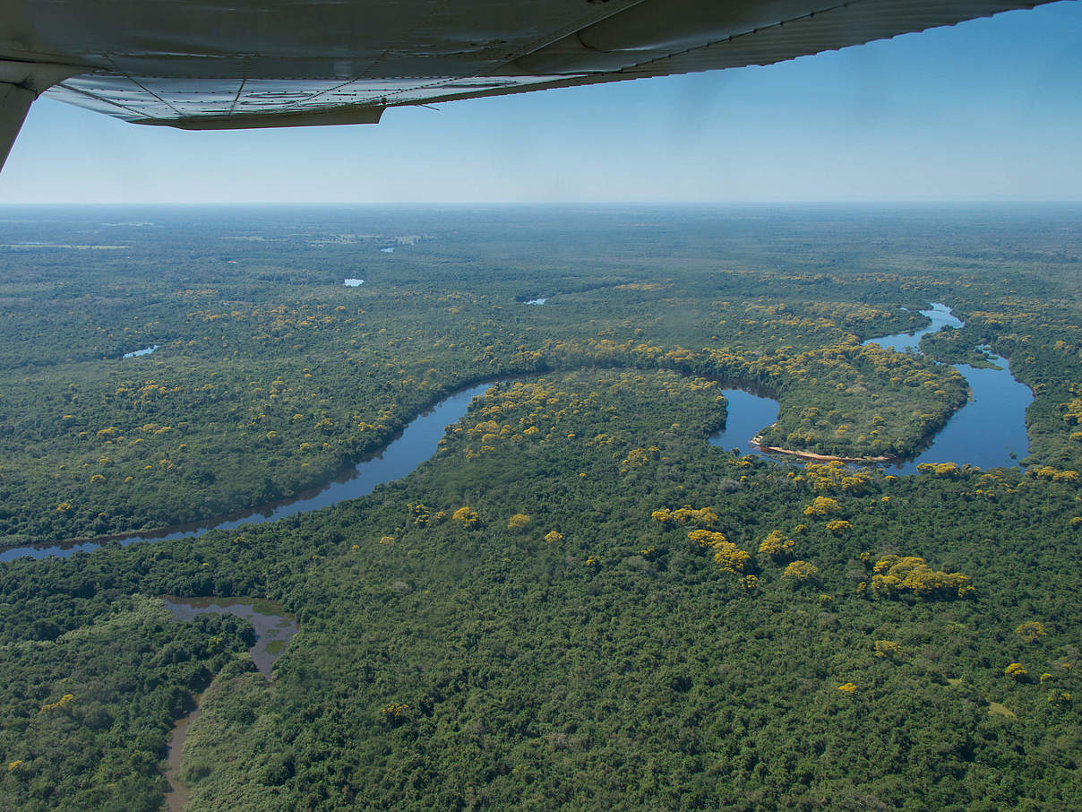 Pantanal in Brasilien aus der Luft © Ralph Frank / WWF