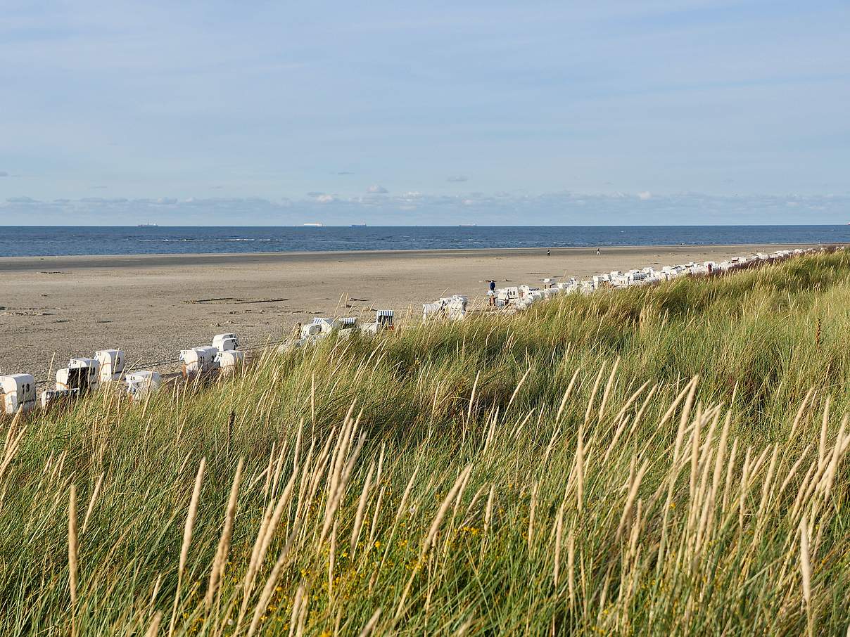 Strandkörbe auf Spiekeroog © Hans-Ulrich Rösner / WWF