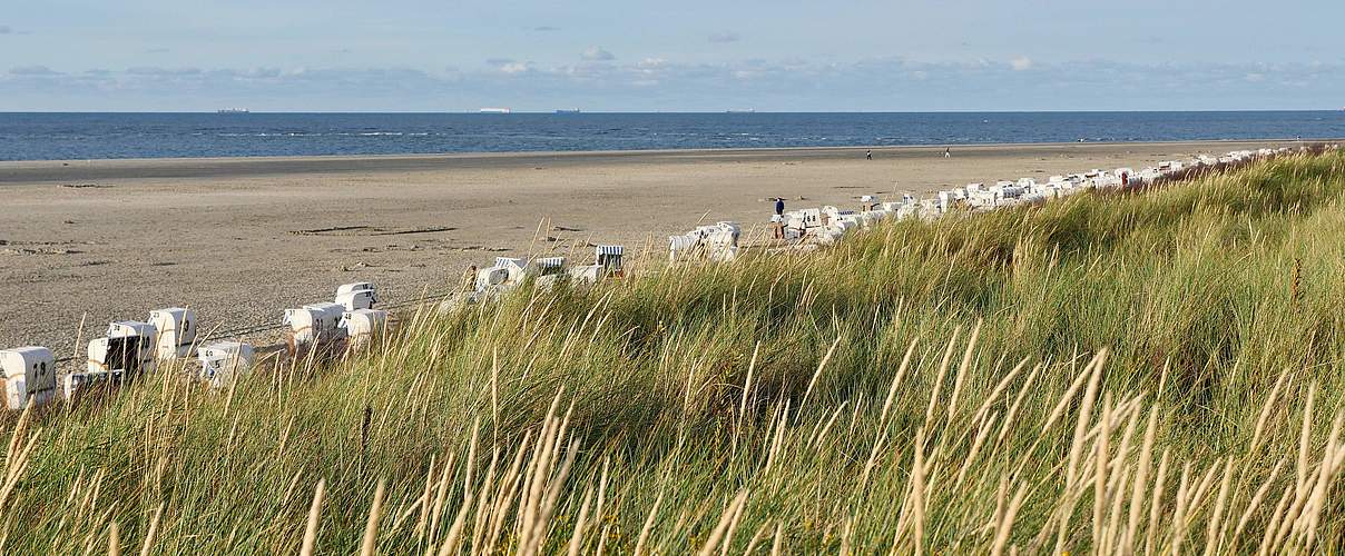 Strandkörbe auf Spiekeroog © Hans-Ulrich Rösner / WWF