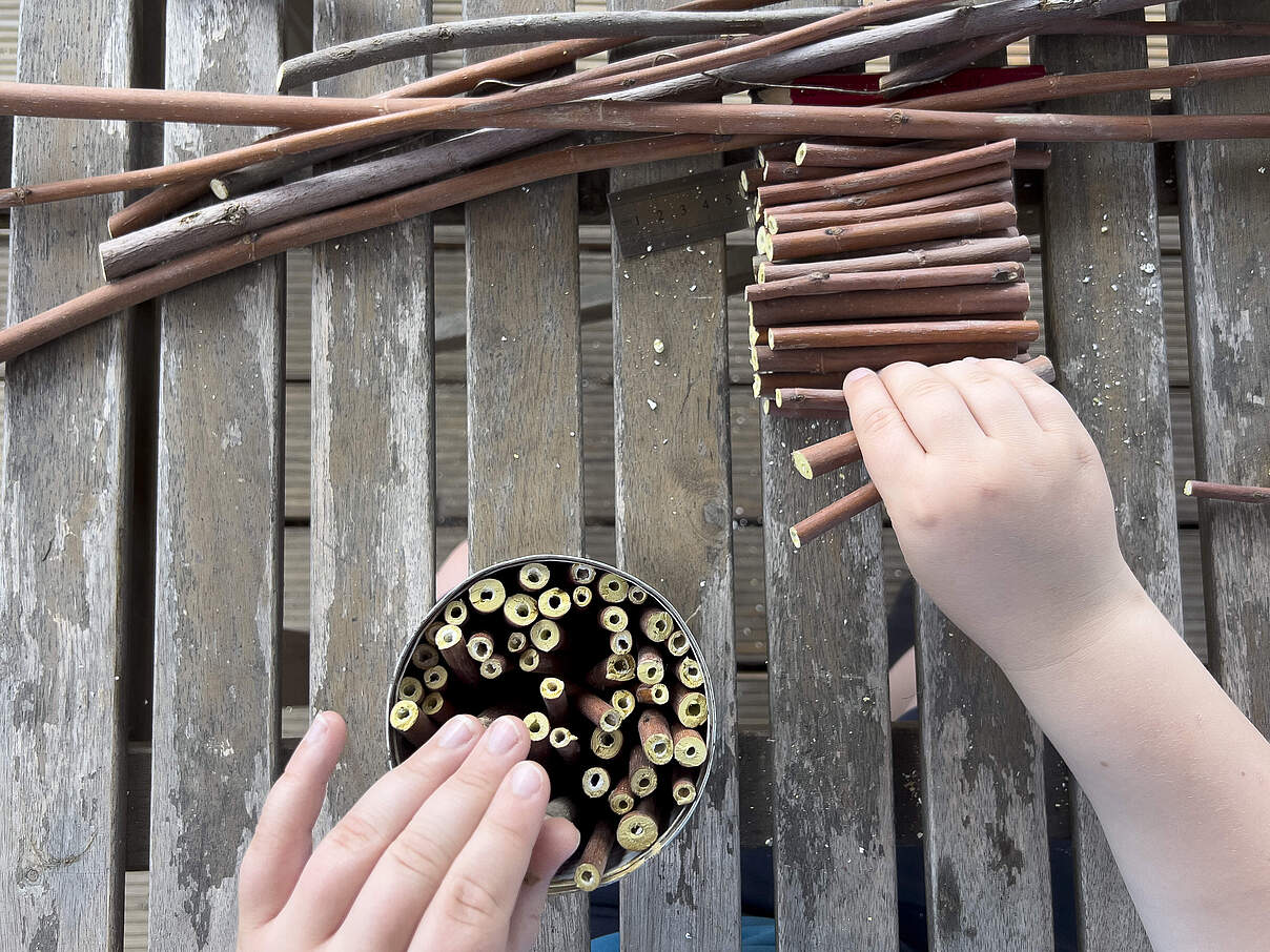 Insektenhotel basteln 