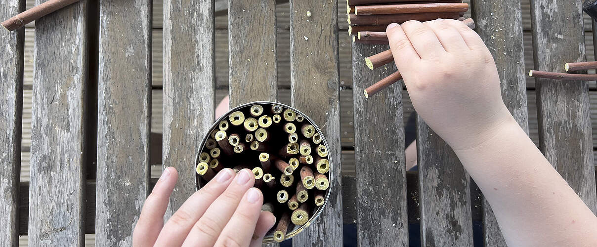 Insektenhotel basteln 