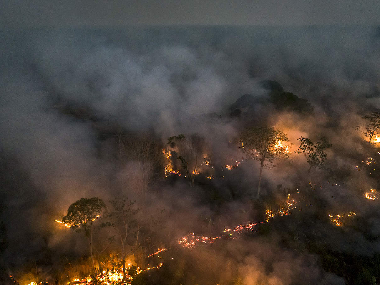 Brennender Wald im Amazonas (Porto Velho) © Andre Dib/WWF-Brazil