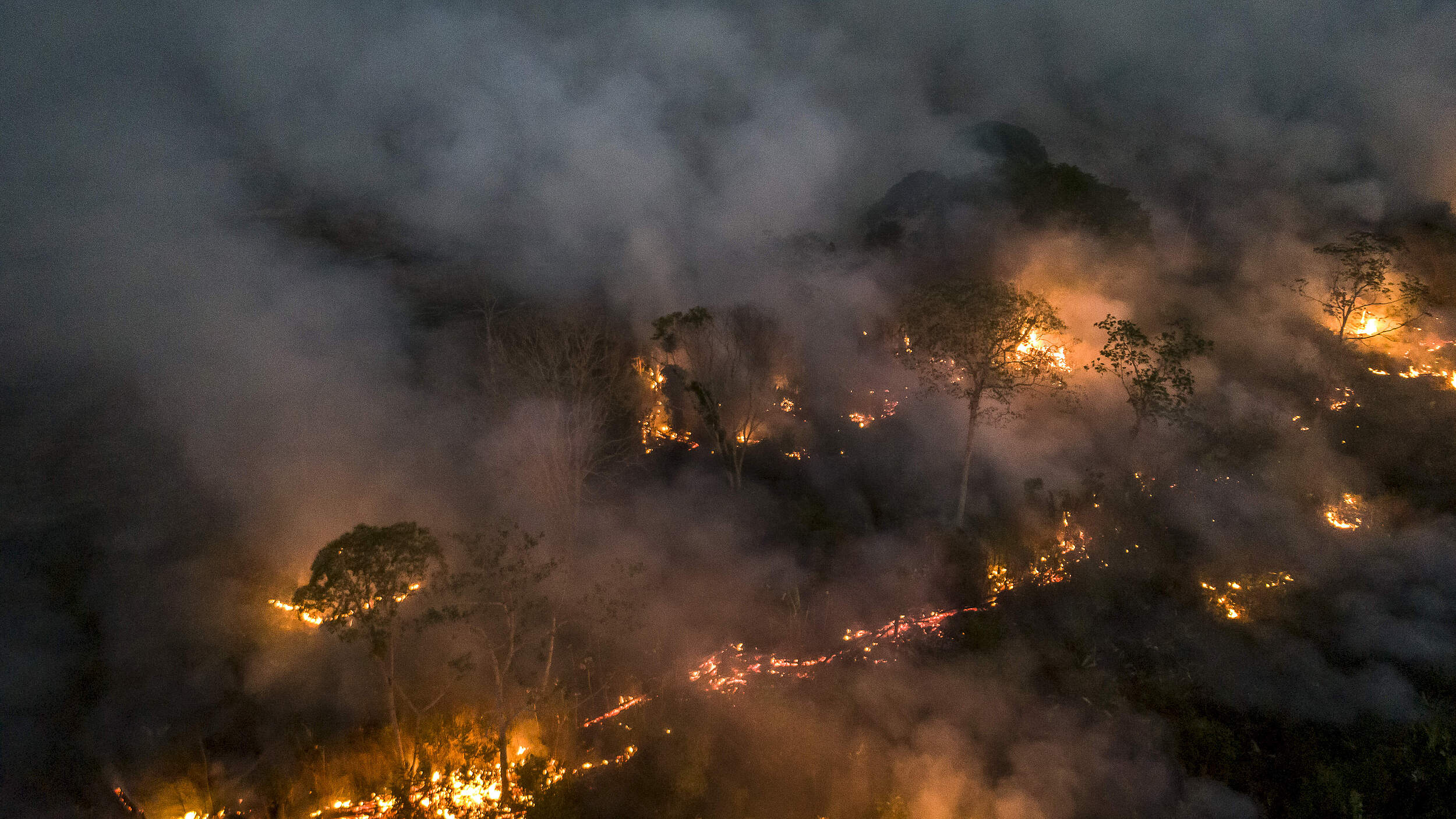 Brennender Wald im Amazonas (Porto Velho) © Andre Dib / WWF Brazil