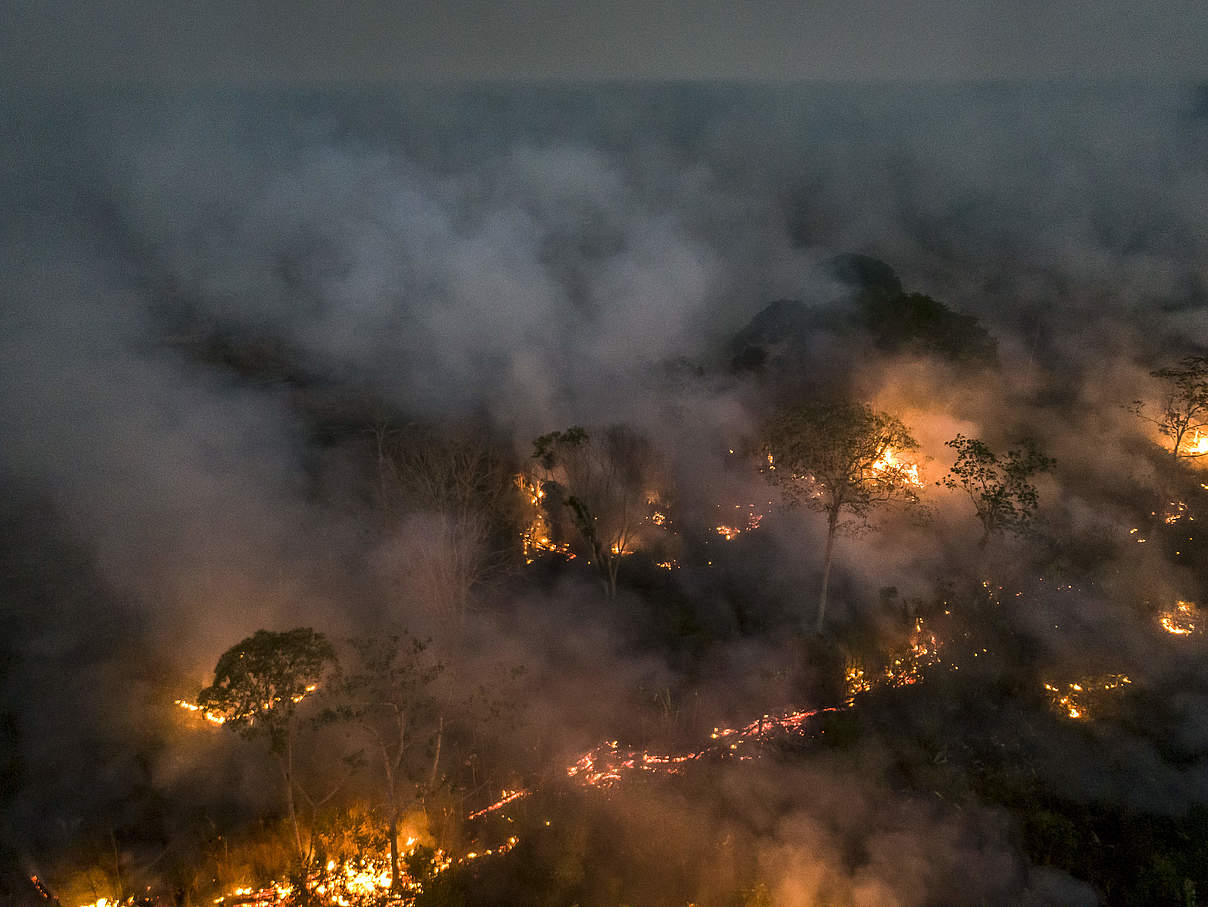 Brennender Wald im Amazonas (Porto Velho) © Andre Dib/WWF-Brazil