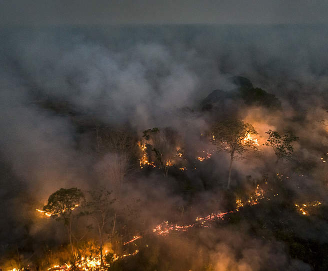 Brennender Wald im Amazonas (Porto Velho) © Andre Dib/WWF-Brazil