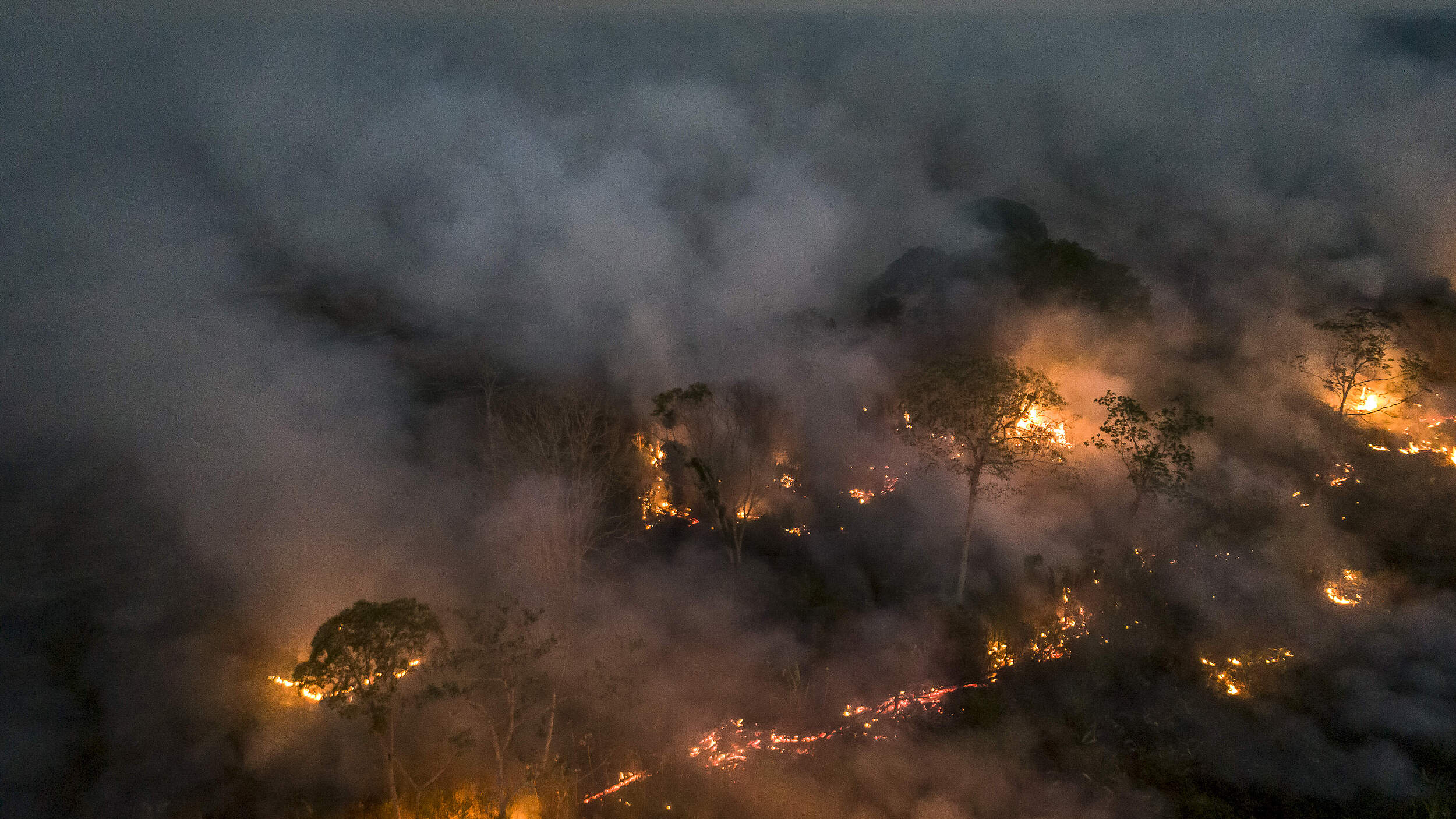 Brennender Wald im Amazonas (Porto Velho) © Andre Dib / WWF Brazil