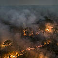 Brennender Wald im Amazonas (Porto Velho) © Andre Dib/WWF-Brazil