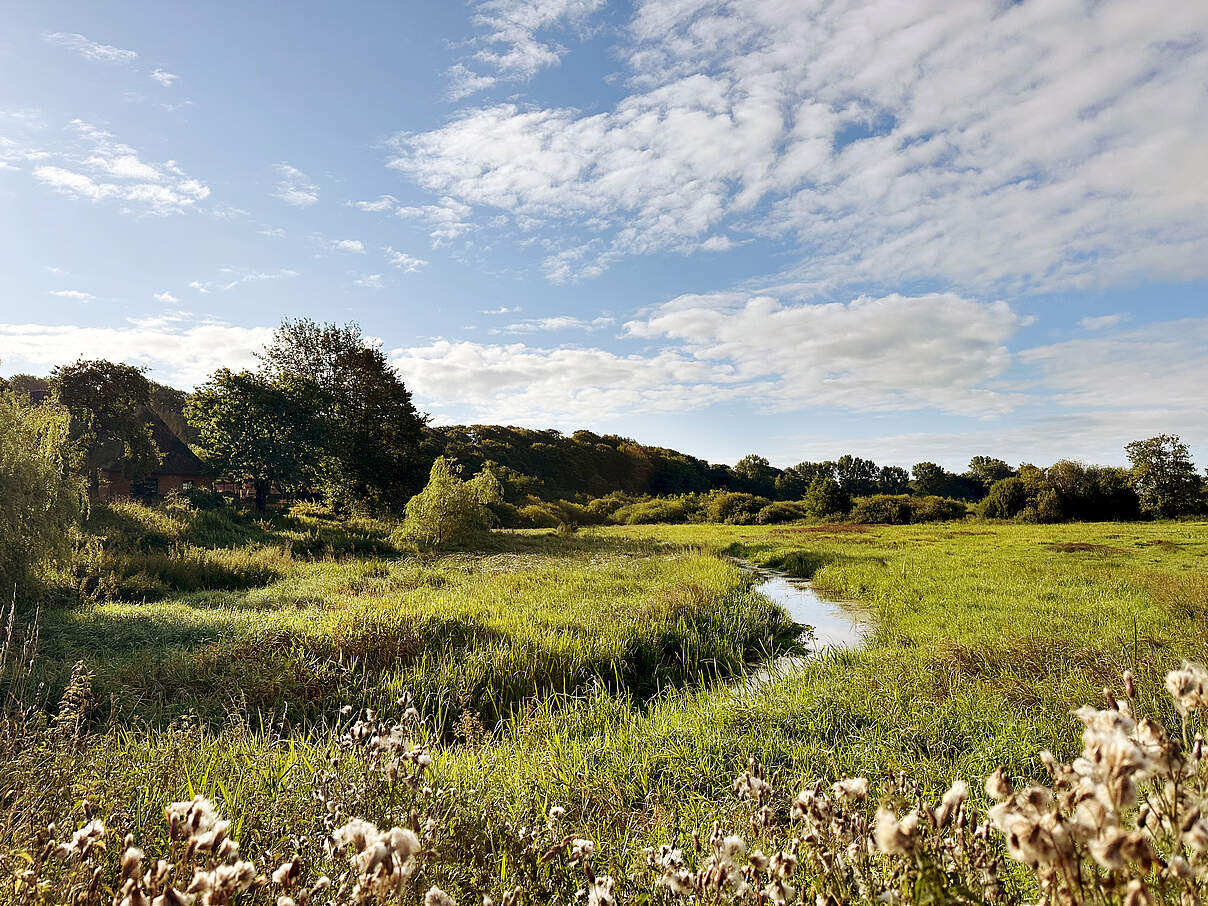 Gewaesser Landschaft © Claudi Nir/WWF