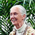 Jane Goodall © Floatjon / CC BY SA 3.0