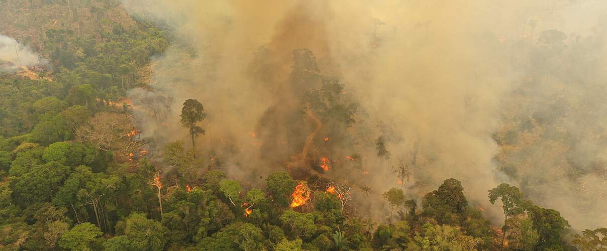 Brände im Amazonas-Regenwald