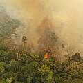Brände im Amazonas-Regenwald