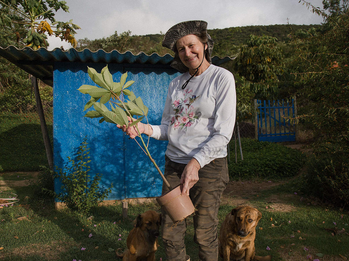 Renaturierung im Atlantischen Regenwald bezieht die Menschen mit ein © Tuane Fernandes / WWF-Brazil