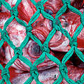 Die Meere sind überfischt und 40 Prozent der weltweiten Fänge landen als Beifang im Müll. © Quentin Bates / WWF-Canon