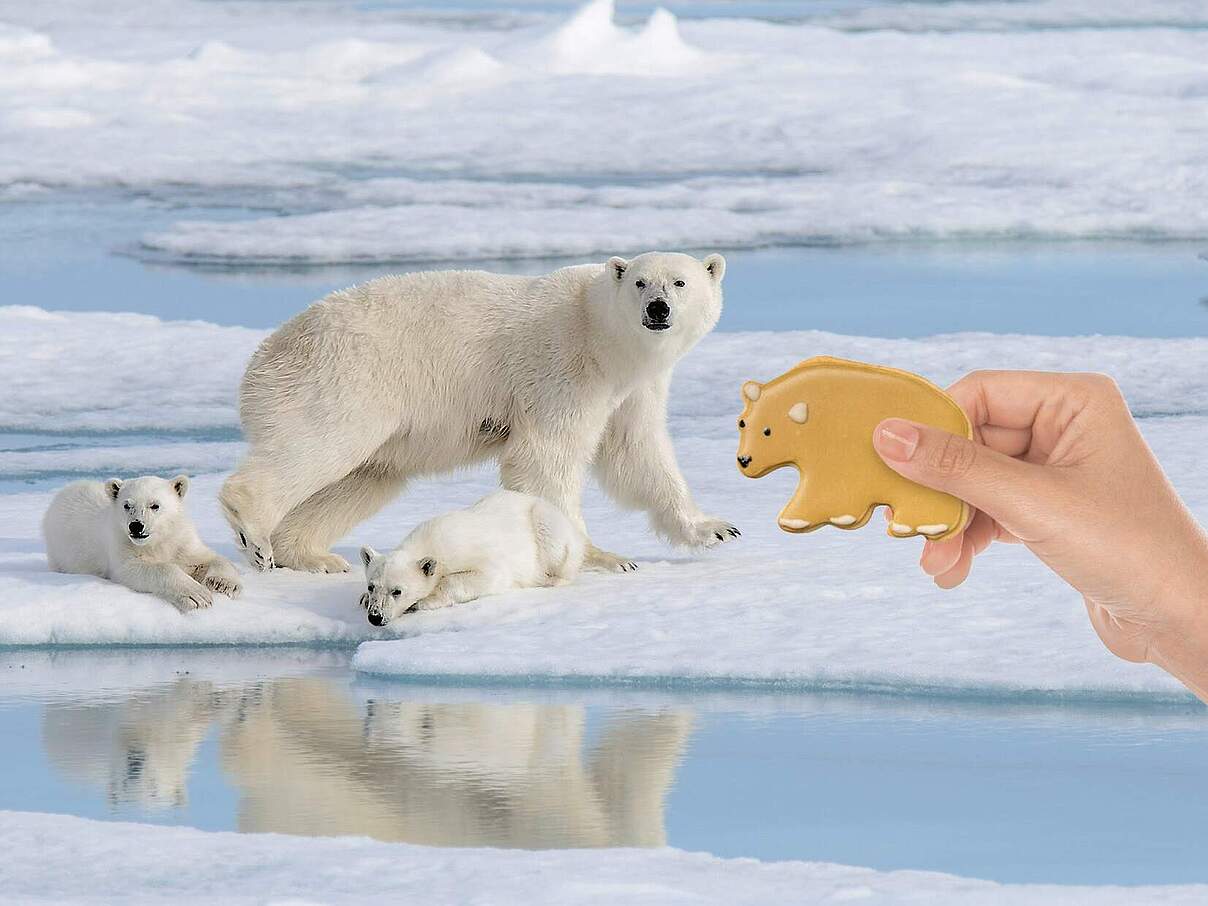 Eisbär mit Keksform