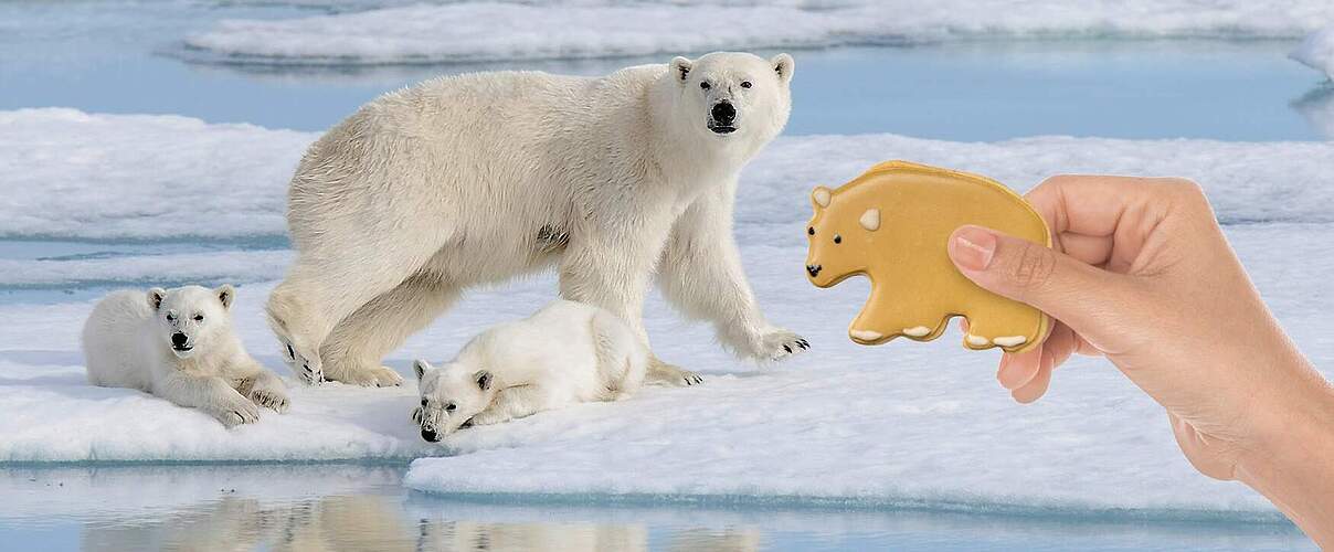 Eisbär mit Keksform