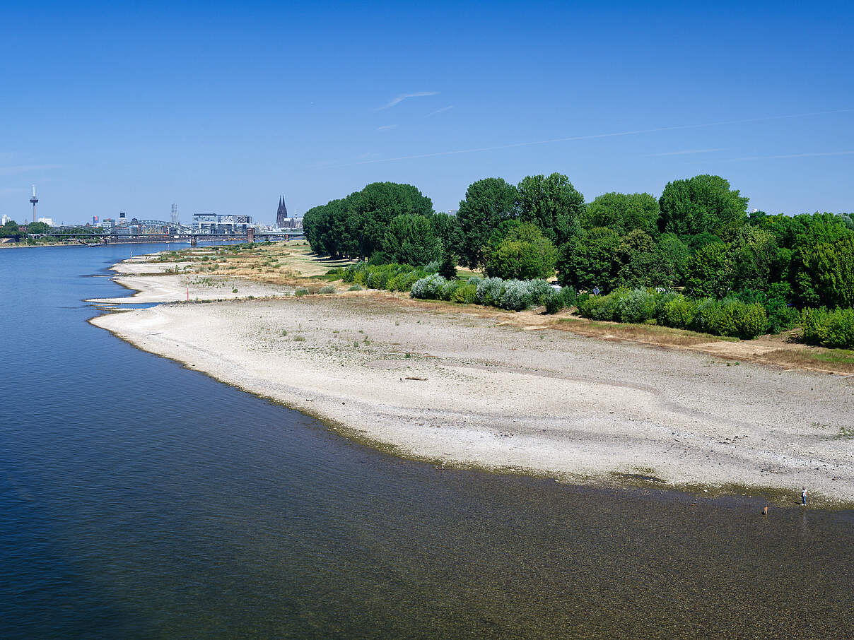 Niedriger Wasserstand des Rheins in Köln mit breiten, trockenen Kiesbänken im Juli 2026 © Gerd Hader/iStock/GettyImages