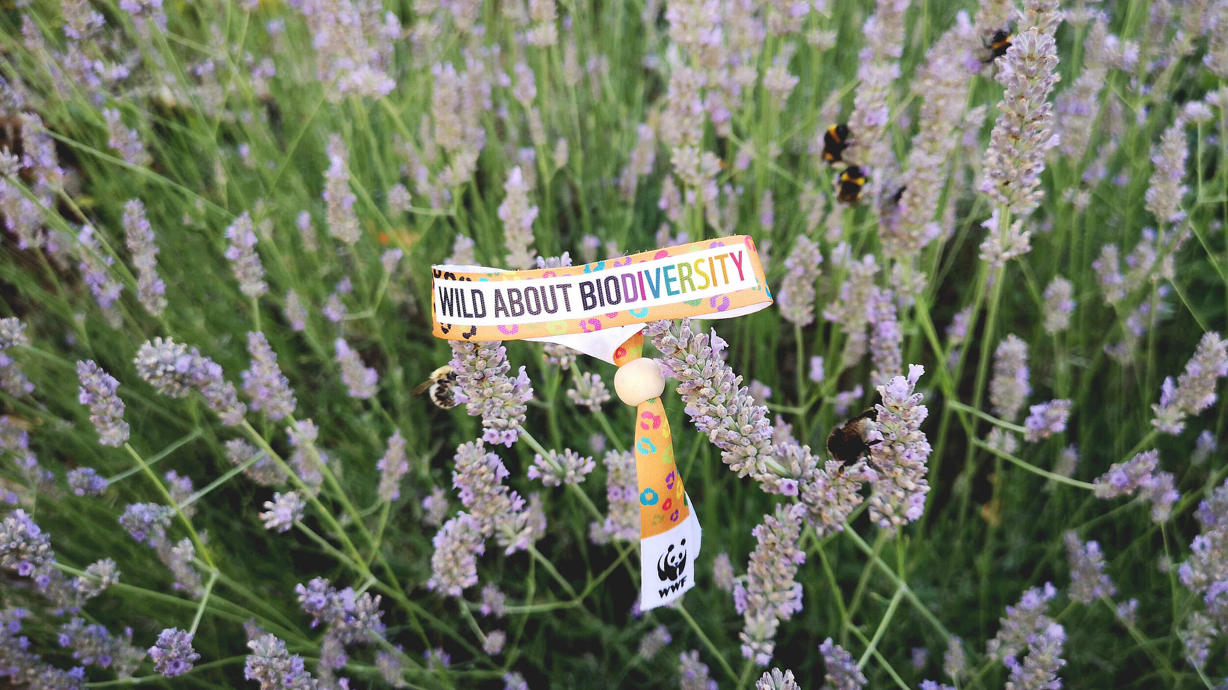 WWF-Armband: Wild about Biodiversity