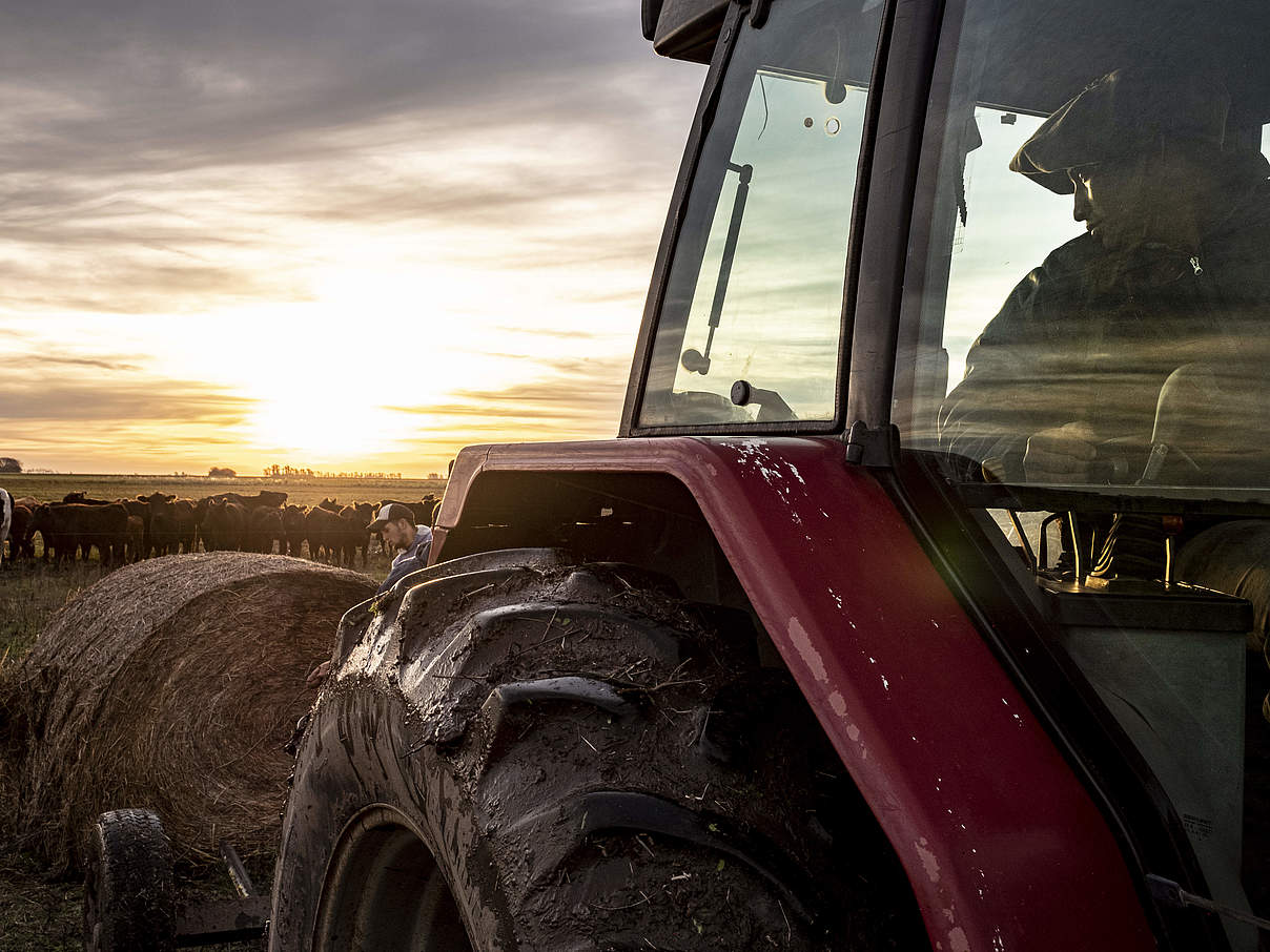 Politikradar Landwirtschaft © Jason Houston / WWF-US