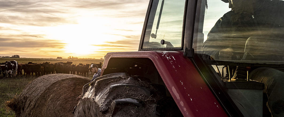 Politikradar Landwirtschaft © Jason Houston / WWF-US