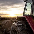 Politikradar Landwirtschaft © Jason Houston / WWF-US