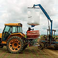 Arbeit auf der Sojaplantage © Peter Caton / WWF UK