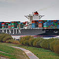 Containerschiff auf der Unterelbe ©WWF