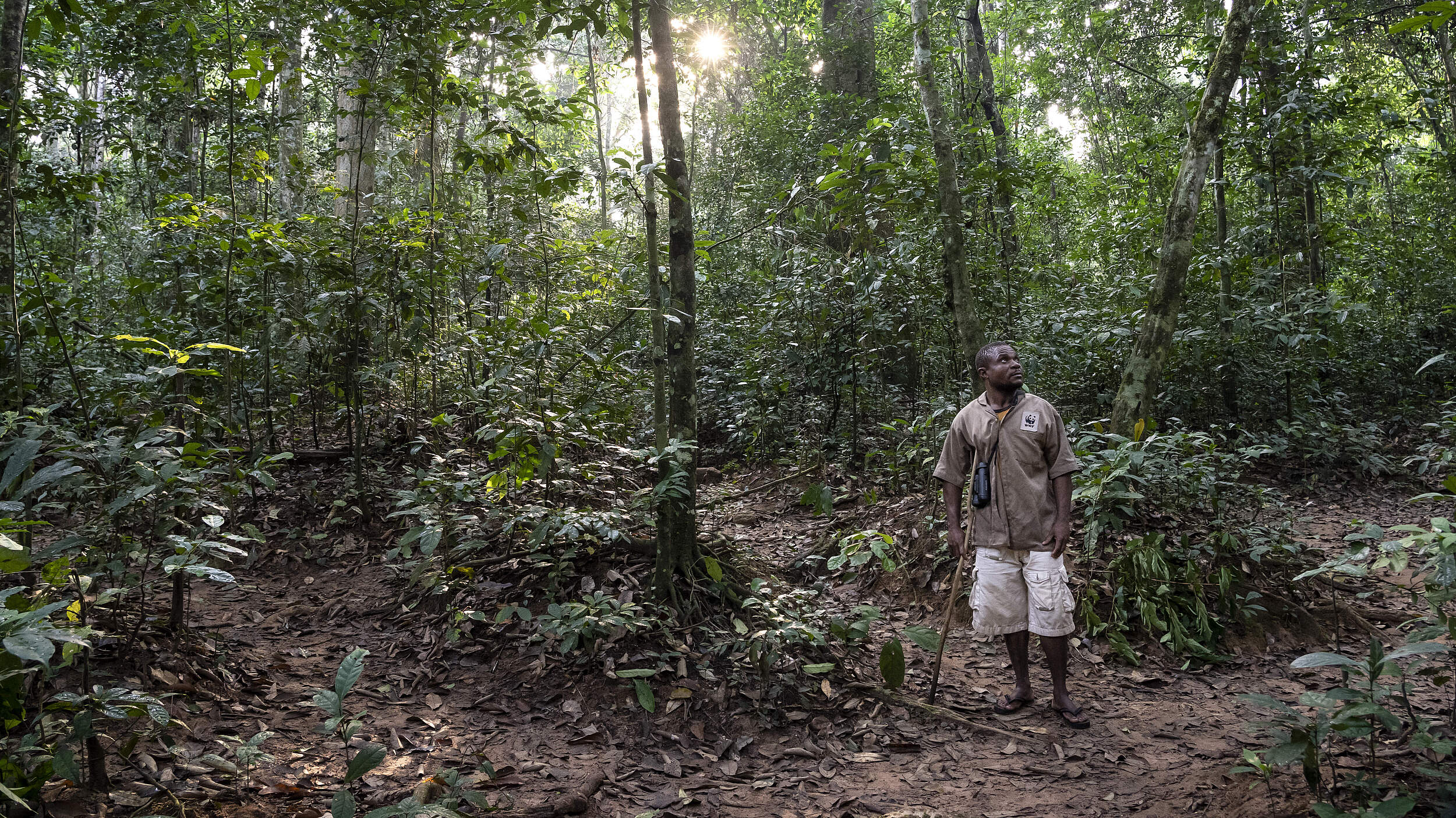 Gorilla Tracker aus dem Volk der BaAka in Dzanga-Sangha © Andy Isaacson / WWF-US