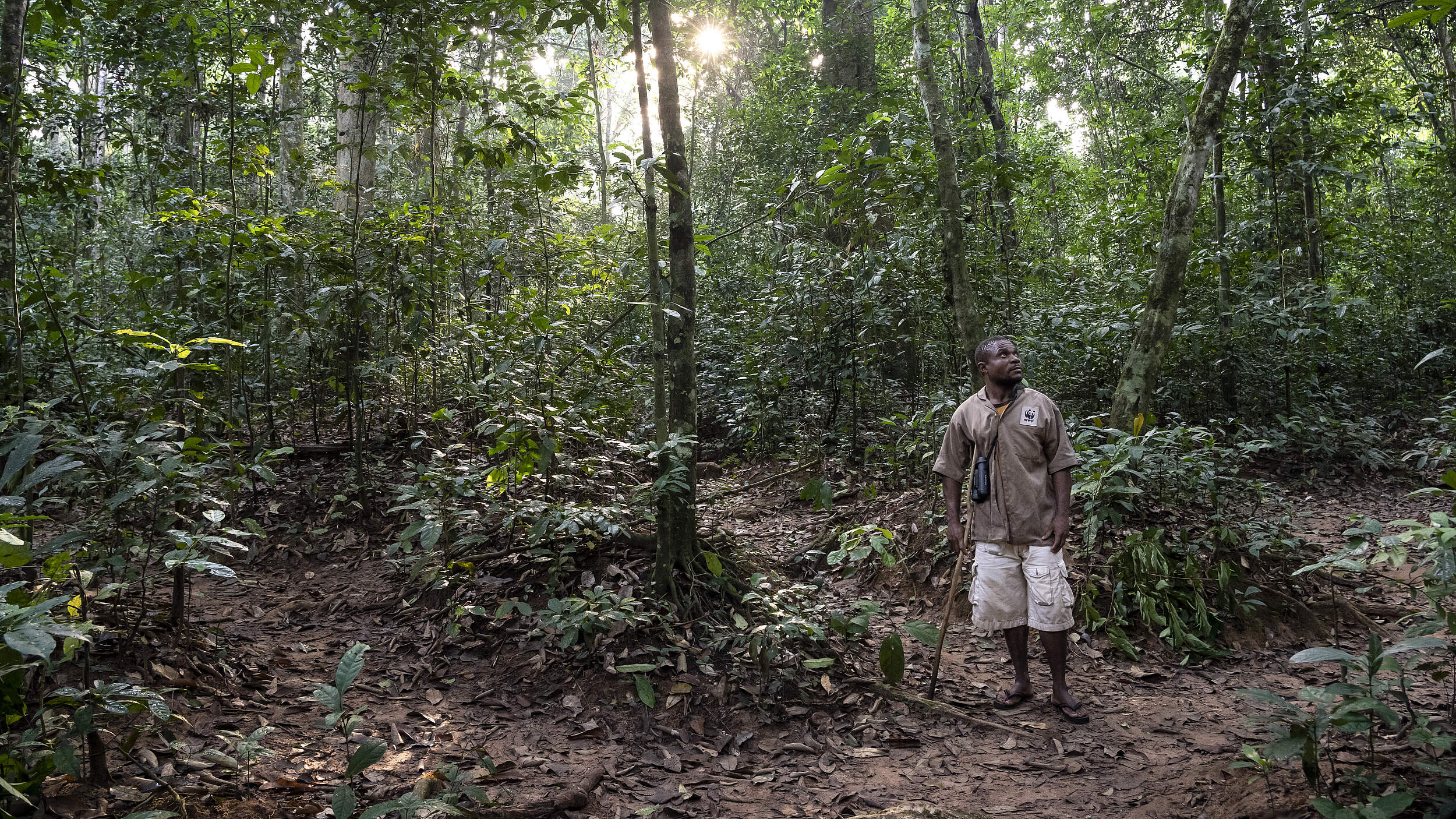 Gorilla Tracker aus dem Volk der BaAka in Dzanga-Sangha © Andy Isaacson / WWF-US