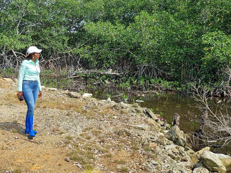 Kay Bodden besucht ein Mangrovengebiet in Puerto Cortes in Honduras