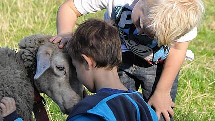 Spaß im WWF Camp © Elmar Schulte-Tigges / WWF