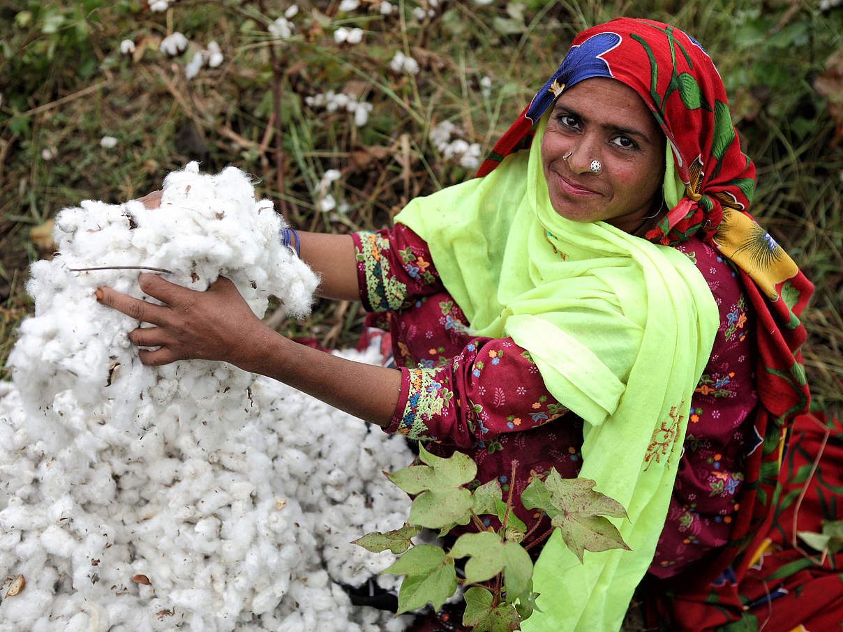 Baumwolle aus dem „Better Cotton“-Projekt in Pakistan © Asim Hafeez / WWF-UK 