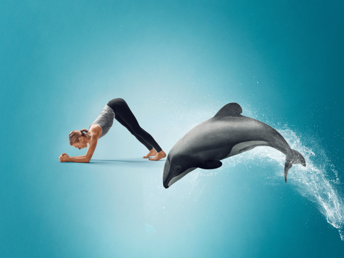 Kristin Rübesamen macht den Delfin für den Delfin. © Yogagold / Per Kasch