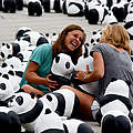 Pandaroadshow in Berlin © Dirk Lässig / WWF