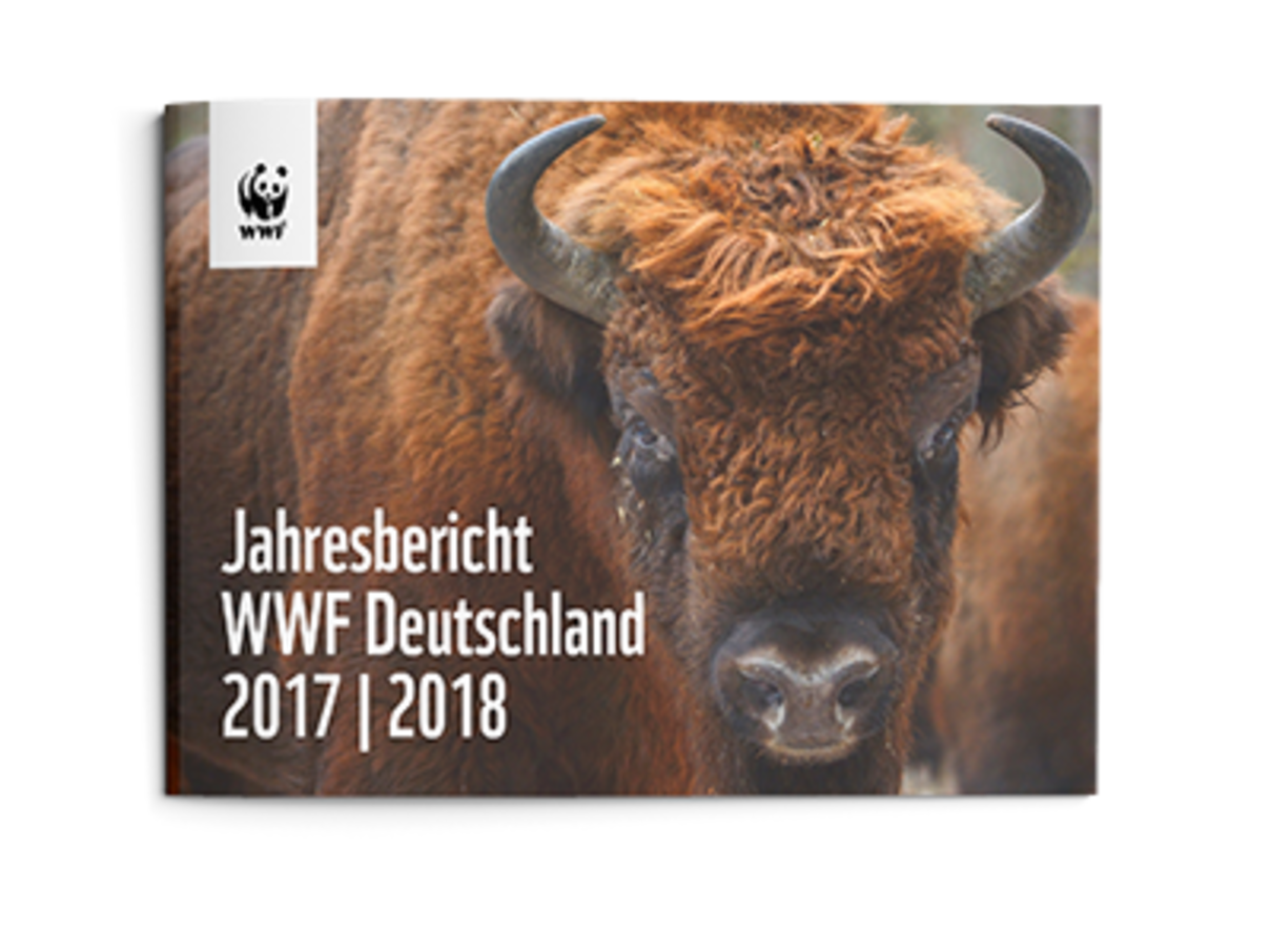 WWF Jahresbericht cover 01 xs