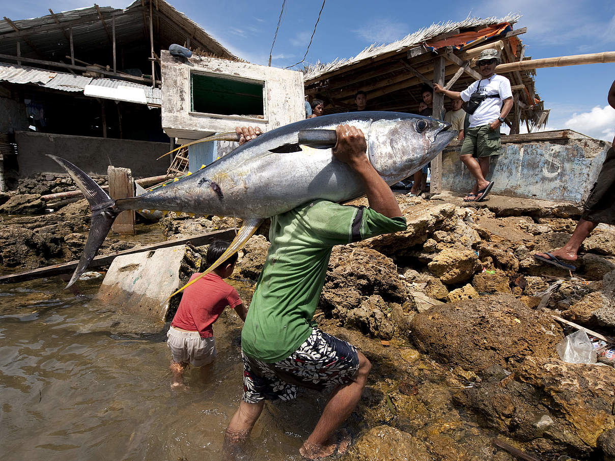 Thunfisch Fischerei in den Philippinen © Jürgen Freund / WWF