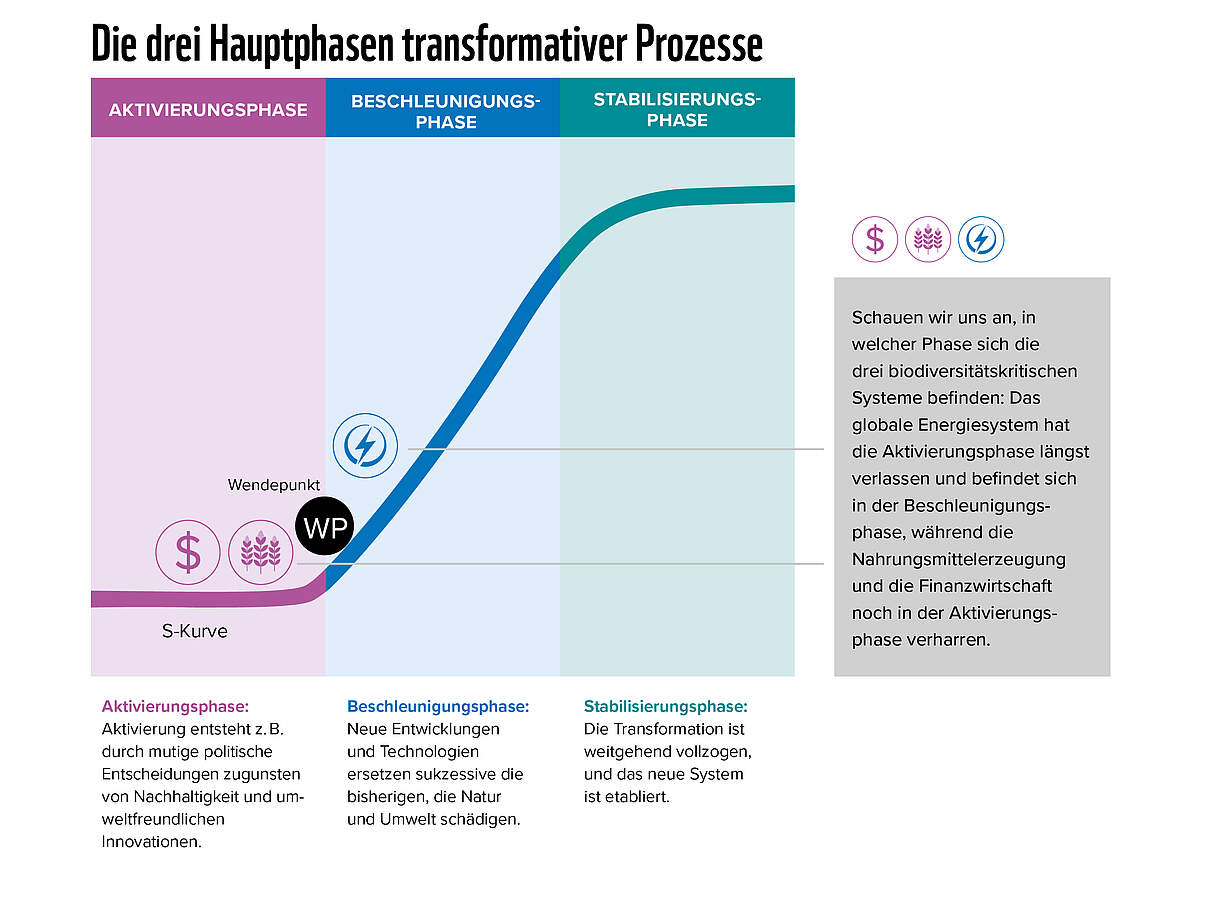 Die drei Hauptphasen transformativer Prozesse