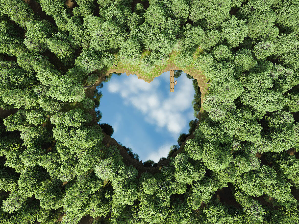 See im Wald © Antonio Solano / iStock / Getty Images