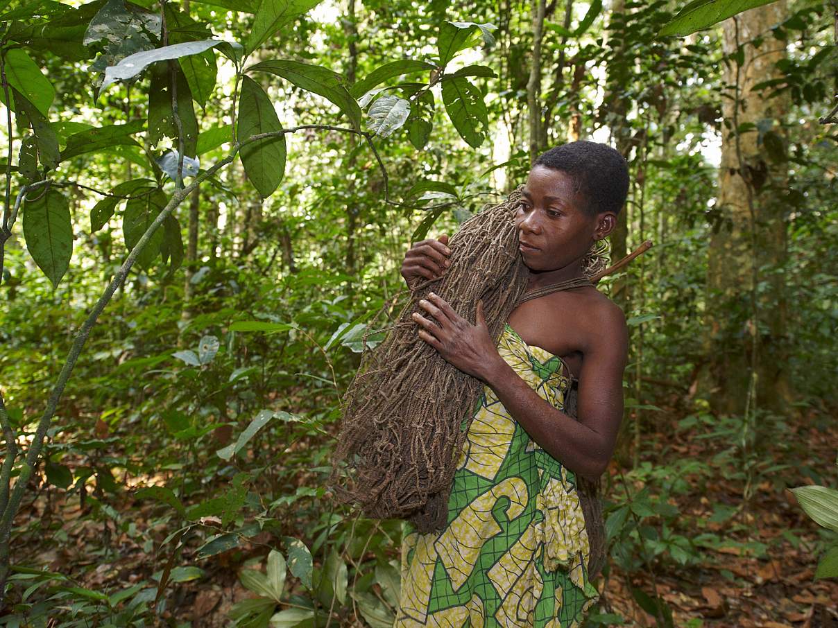 Indigene Baka © Ola Jennersten / WWF-Sweden