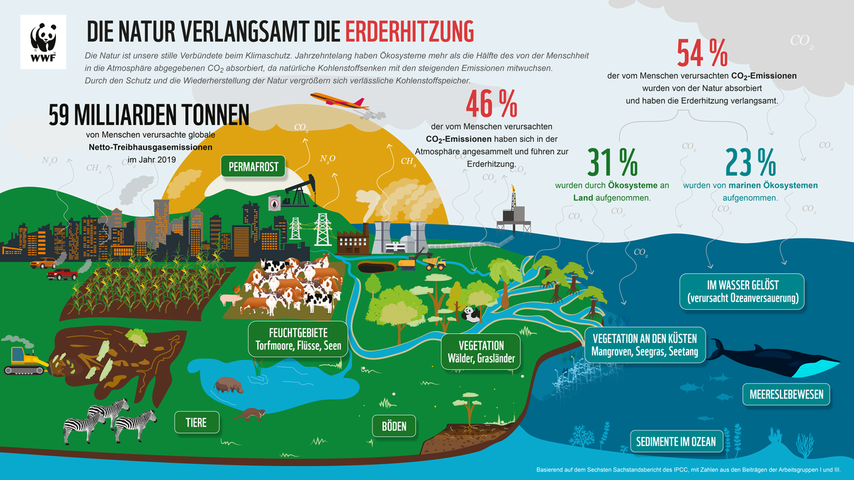 Die Natur verlangsamt die Erderhitzung © WWF