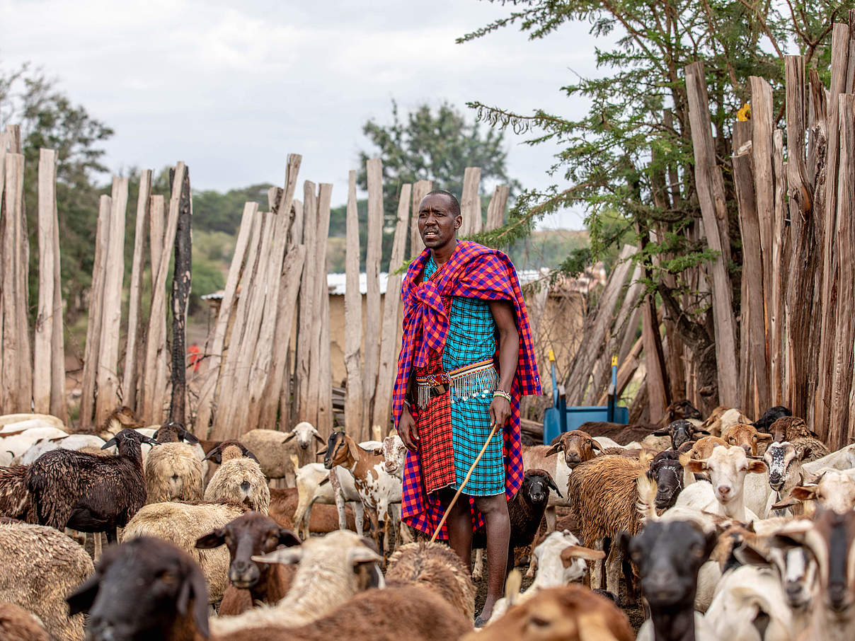 Viehhirte in Siana, Kenia © Austine Okande