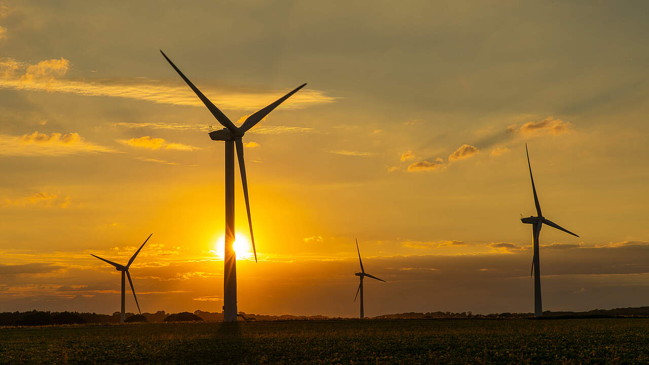 Windkraftanlage © Greg Armfield / WWF -UK