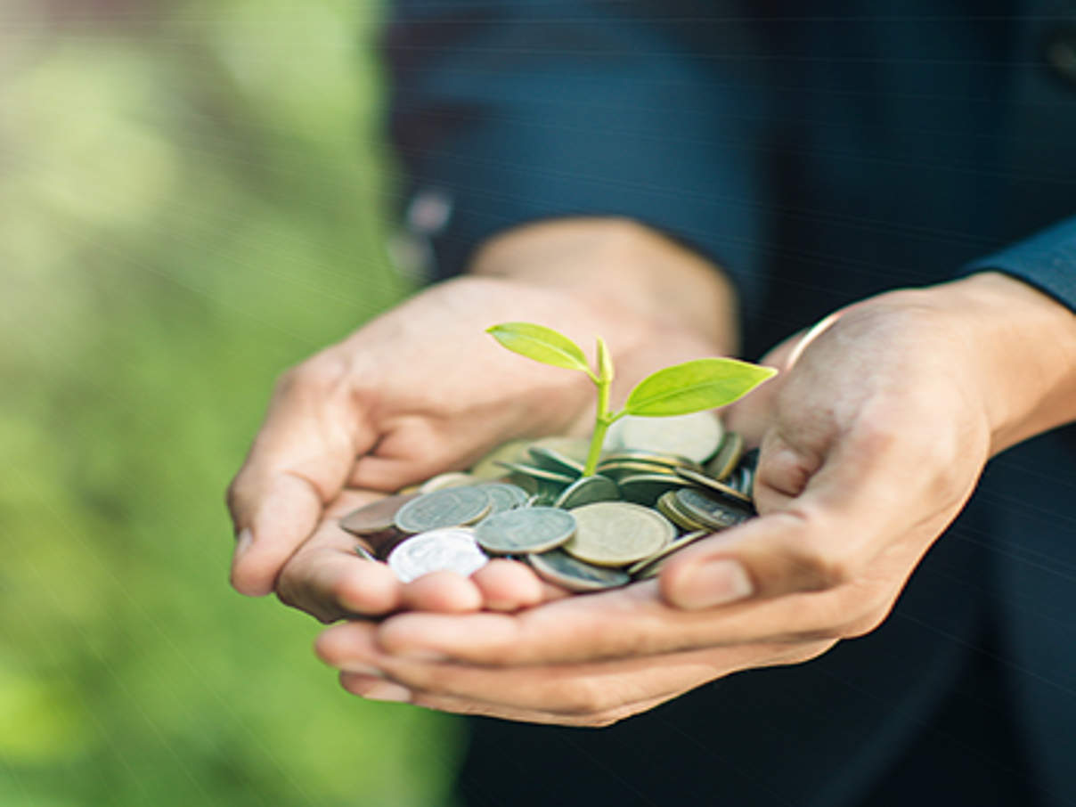 person with coins in hands