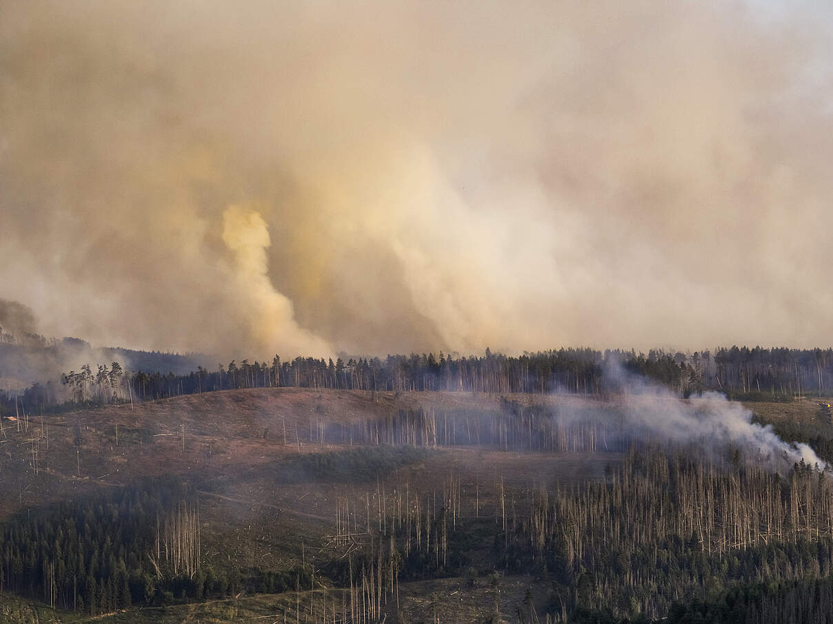Waldbrand in Gösselsdorf, Thüringen 