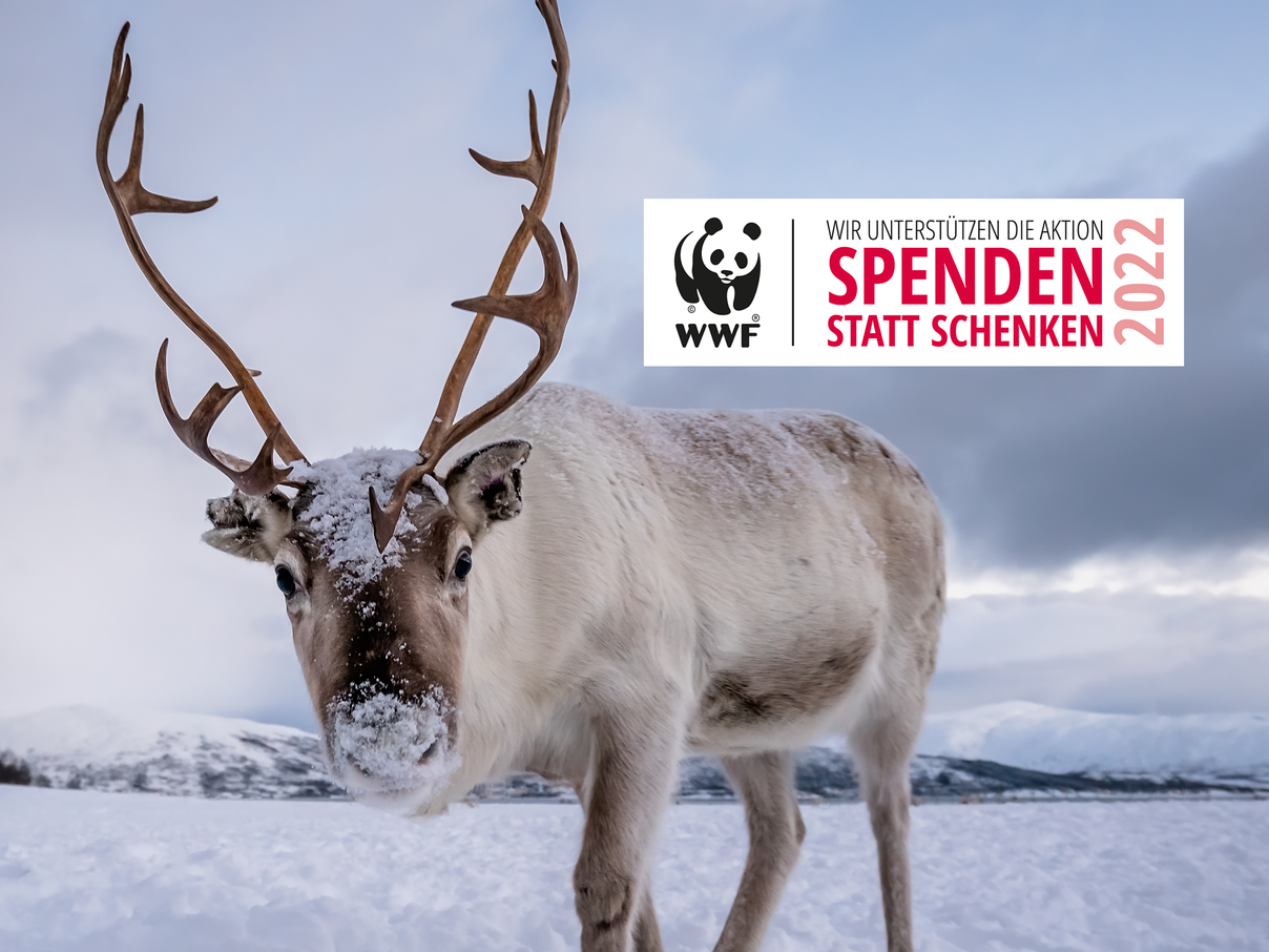 Spenden statt Schenken 2022 © pawopa3336 / iStock / Getty Images / WWF