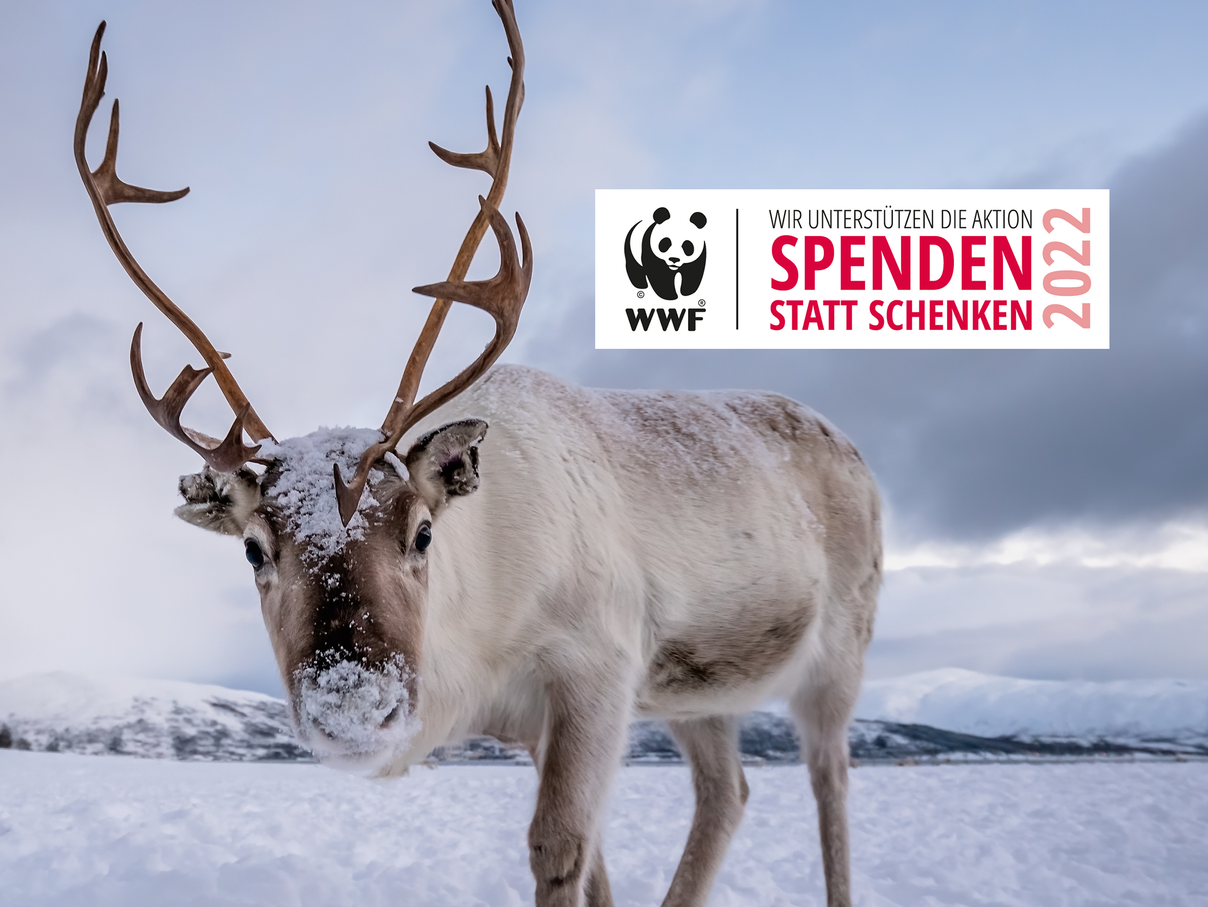 Spenden statt Schenken 2022 © pawopa3336 / iStock / Getty Images / WWF